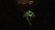 Glowing Trog