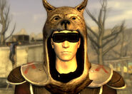 Vulpes Inculta with his Vexillarius helmet