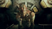 Falloutban a Vault 106 egyik őrültje.jpg