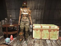 Fo4 Cinder pose.jpg (461 KB)