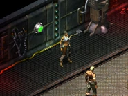 Шаури в бункере «Альфа»