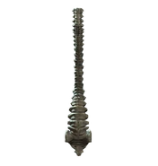 Spine