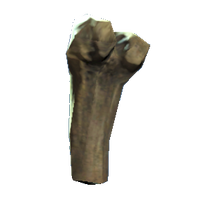 Broken tibia.png