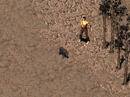 Смок с Нагором после спасения