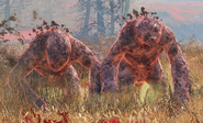 FO76 Scorched mega sloth.png (2.06 MB)