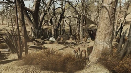 FO76BS Vladimir's camp 01