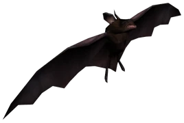 Bat