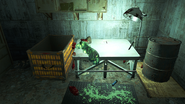 FO4 Mystery Meat4