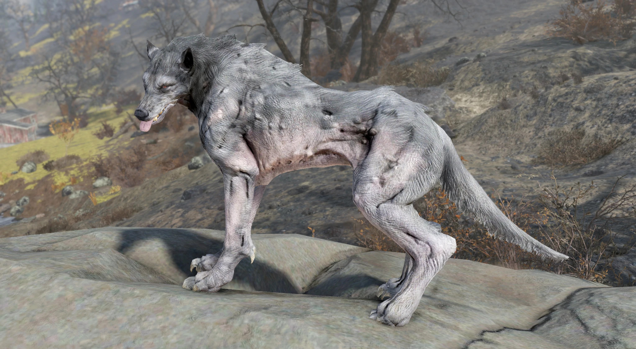 Beast, Fallout Wiki