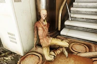 Sara Samir, a dead ghoul