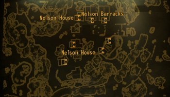 Nelson map