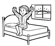EarlyBird.png