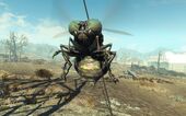 FO4NW Exterior 51.jpg