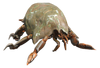 FO4 Mirelurk Hatchling.png