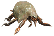 FO4 Mirelurk Hatchling.png
