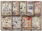 FO4 Wasteland Survival Guide Collage