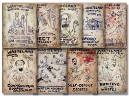 FO4 Wasteland Survival Guide Collage.png