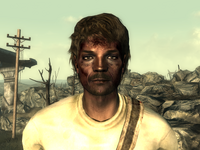 FO3Wasteland doctor13
