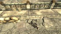 FO3 military camp02 2