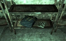 Комбінезон Сховища 77 і голодиск «Спаліть проклятущий комбінезон»