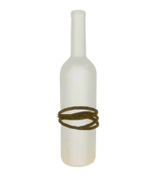 BottleLantern4-FarHarbor.png (250 KB)