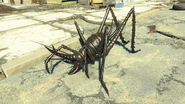 FO4NW Cave cricket 3