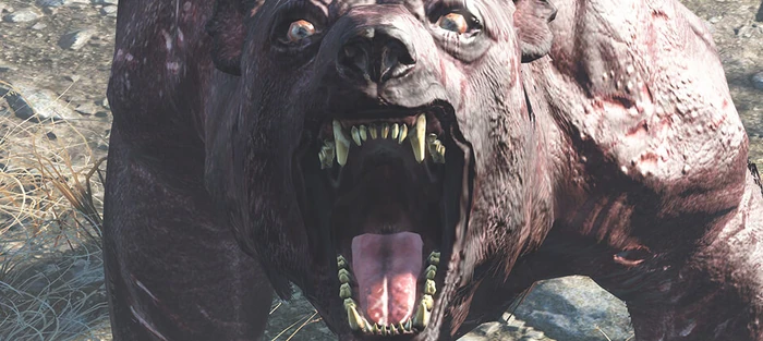 Fallout-4-Far-Harbor-Fakt-4