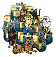 40 purchasable pet carriers icon