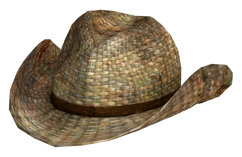 Rattan cowboy hat