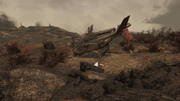 FO76 RE Crashed Vertibird