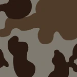 A Marine Corps pattern used for Chinese deployments.