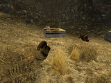 Forlorn Hope letter