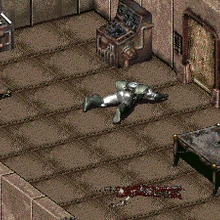 Svechenie Ubezhishe Fandom