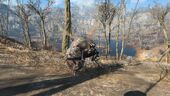 FO4 Bloatfly