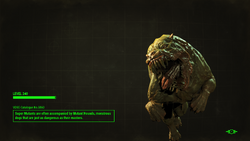 Fallout 4 Loading Screens Fallout Wiki Fandom