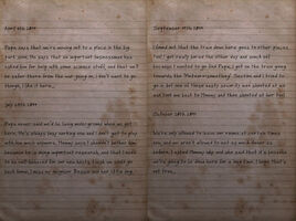 Mary's diary