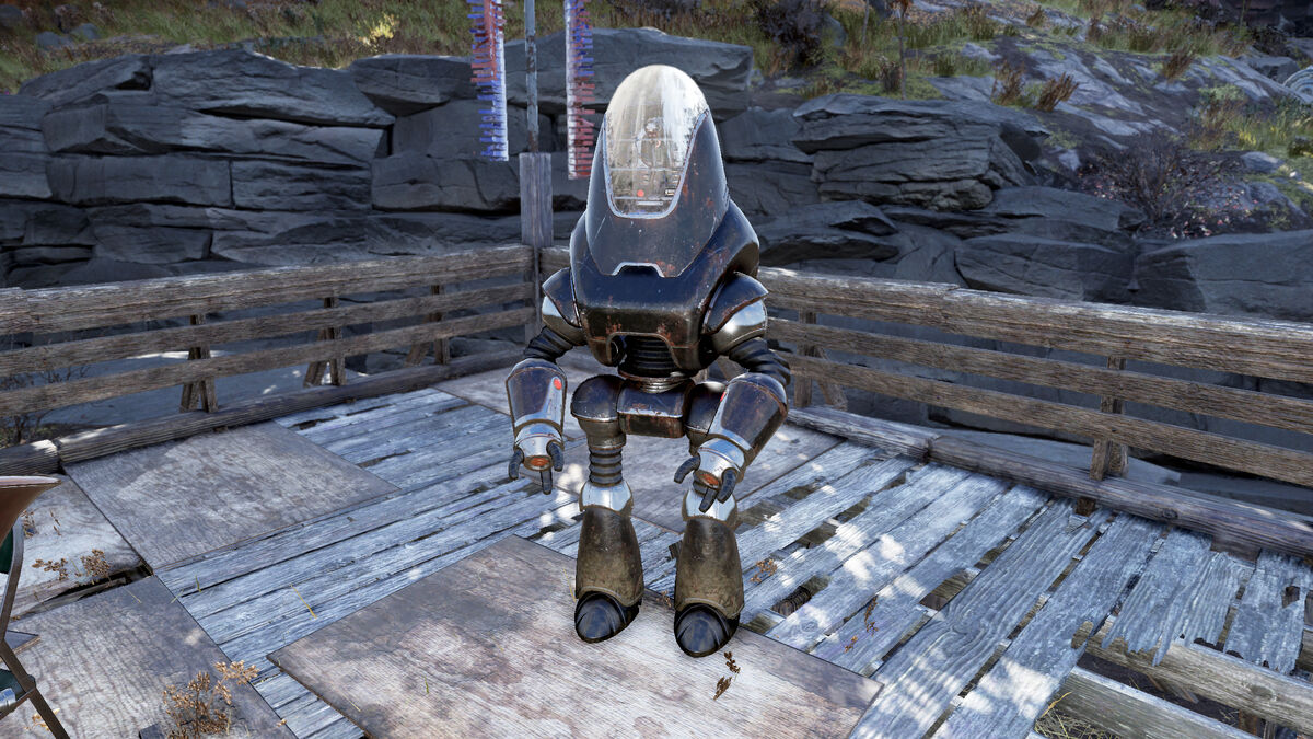 Wild Appalachia