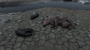 FO76 RE Merchant Killed by Ghouls