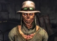 консоль Баджер, жвавий з допомогою консольних команд