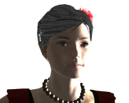 FNVDM Cwig.png (338 КБ) Надетый парик