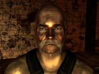 FO3TPPittSlave16.png (609 КБ)