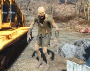 FO4-Feral Ghoul