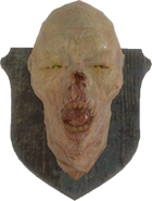 FO4-Mounted-Ghoul-Head