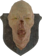 A mounted feral ghoul head