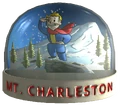 SnowglobeMtCharleston