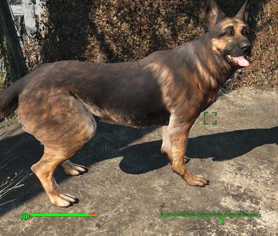 Dogmeat