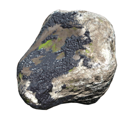 Pet rock, Fallout Wiki