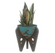 Fo4 blue potted plant3