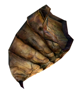 Bug Meat