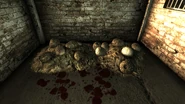 Deathclaw eggs AdamsAFB.jpg (488 kB) Huevos de sanguinario en la Base Aérea Adams
